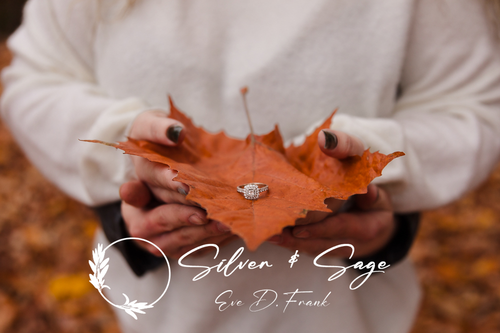 Fall Engagement Pictures