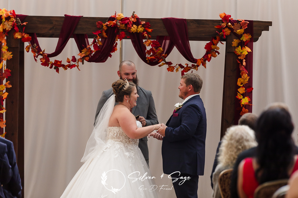 Wedding At Ambassador Hotel - Wedding Photography - Wedding Photographer In Erie Pa