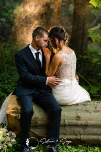 Silver & Sage Wedding Gallery - Online Gallery - Photographer Wedding Gallery - Wedding Photographer Erie Pa