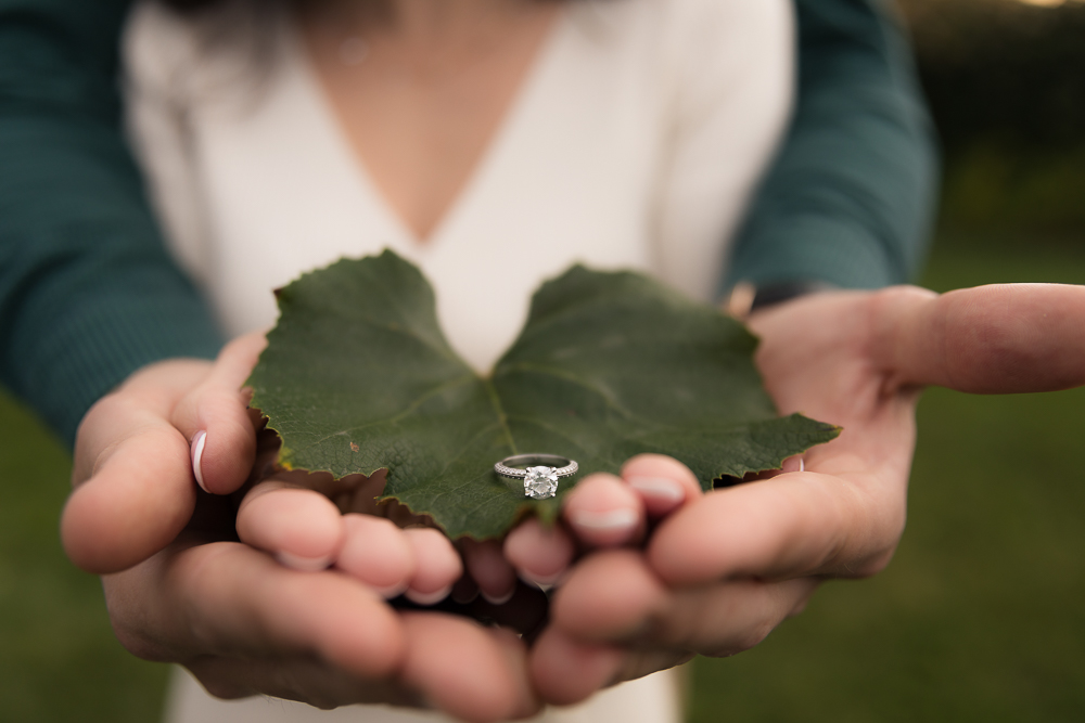 Engagement Photography