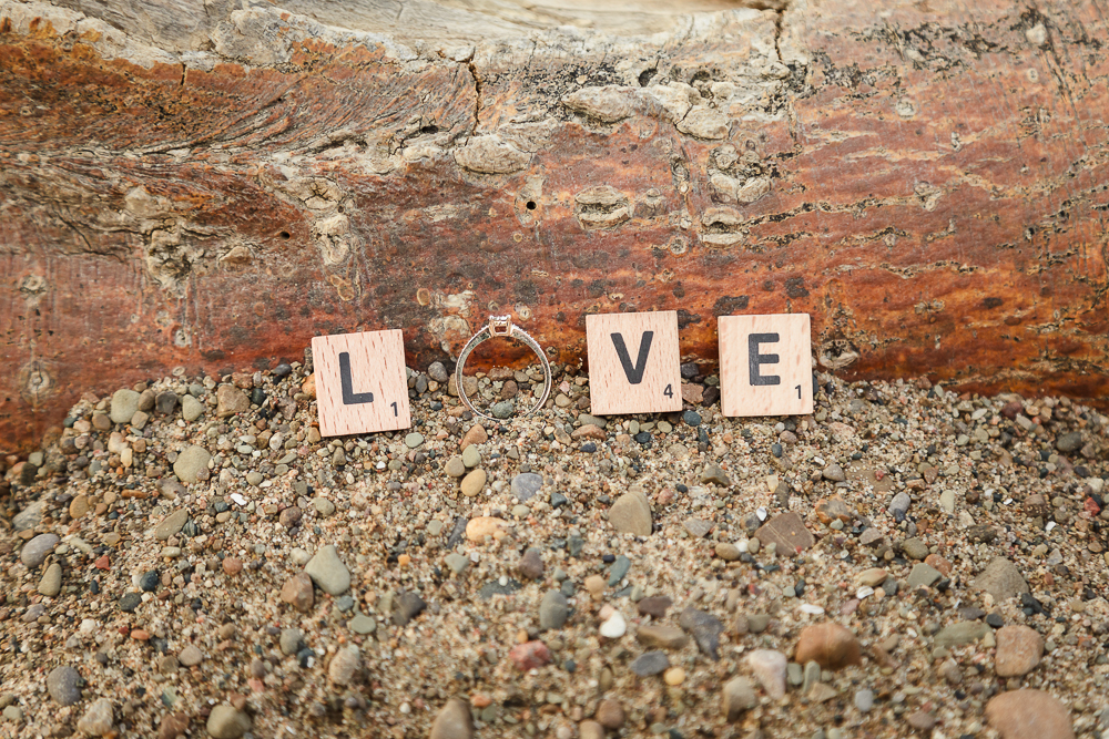 Engagement Photography